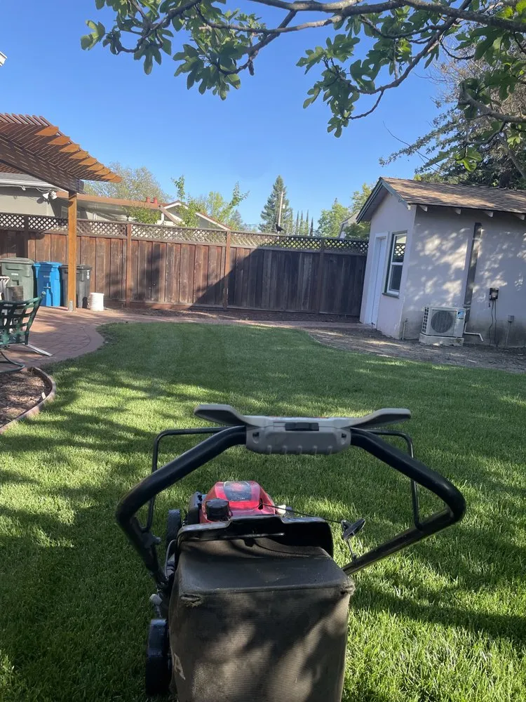 Local yard cleanup service in Menlo Park, CA by V & A Landscaping Services