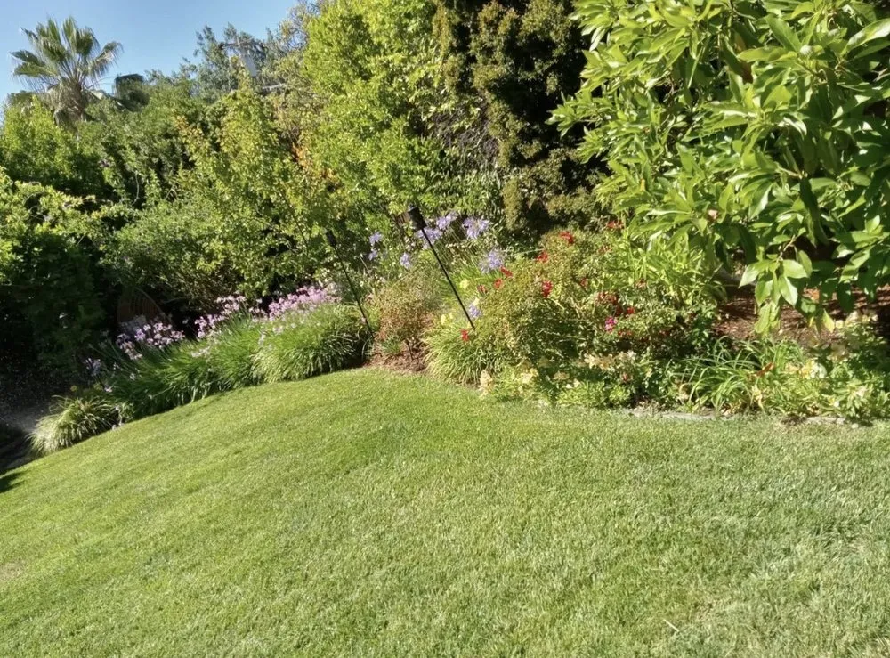 Top-rated landscaping services experts serving Menlo Park, CA - V & A Landscaping Services