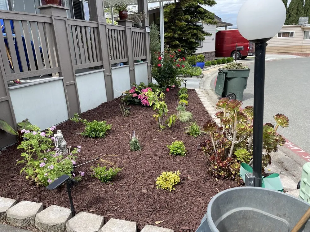 Reliable yard maintenance in Menlo Park, CA - V & A Landscaping Services