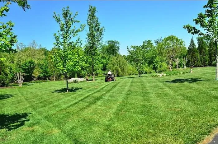 Professional lawn mowing service experts serving Fayetteville, NC - V & C Lawn Service