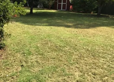 Reliable outdoor landscaping experts serving Fayetteville, NC - V & C Lawn Service