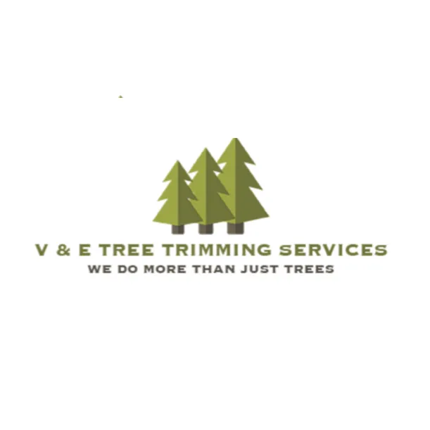 Professional garden landscaping with custom design in Plainview, TX by V & E Tree Trimming Services
