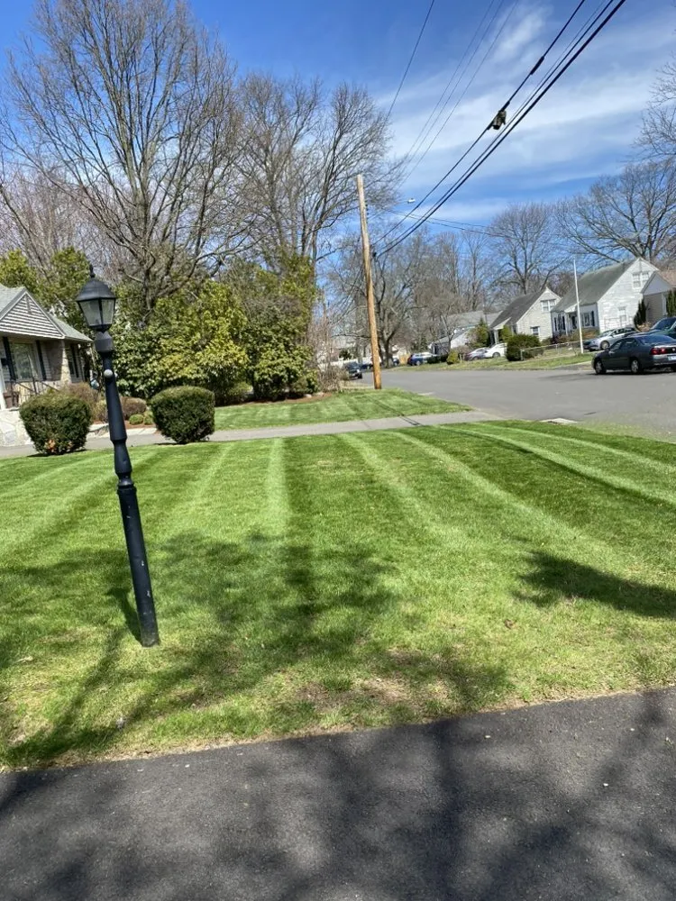 Top-rated lawn mowing service experts serving Hamden, CT - V & F Landscaping