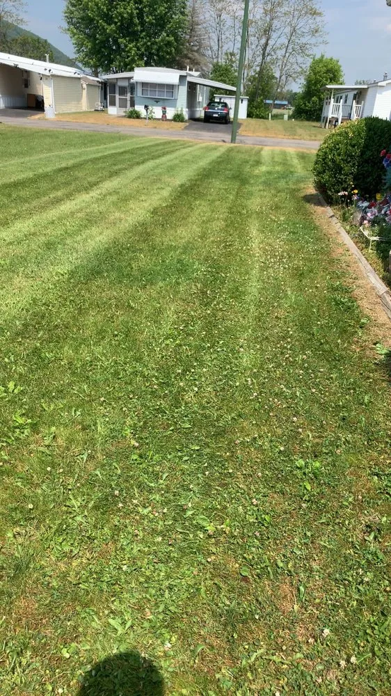 Trusted outdoor landscaping in Gillett, PA by V & F Lawncare