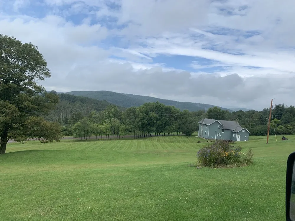 Custom yard cleanup service in Gillett, PA by V & F Lawncare