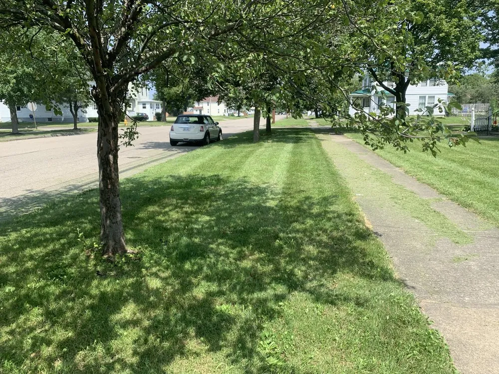 Affordable yard maintenance in Gillett, PA by V & F Lawncare