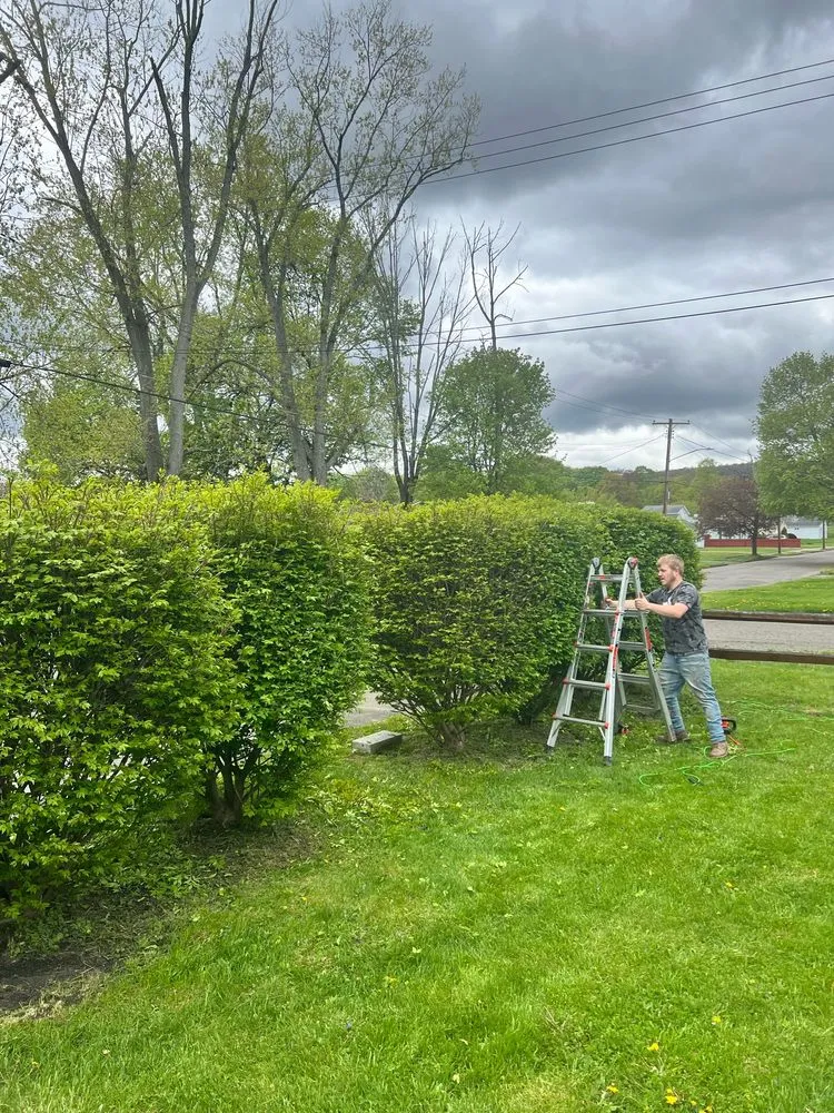 Top-rated residential landscaping in Gillett, PA by V & F Lawncare