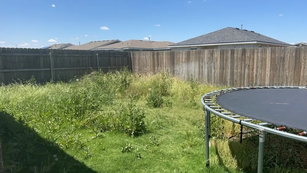 Reliable landscape design for homes in Lubbock, TX by V & I Lawn Care