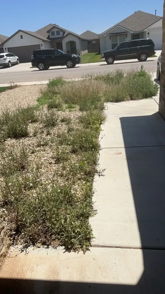 Top-rated landscaping services experts serving Lubbock, TX - V & I Lawn Care