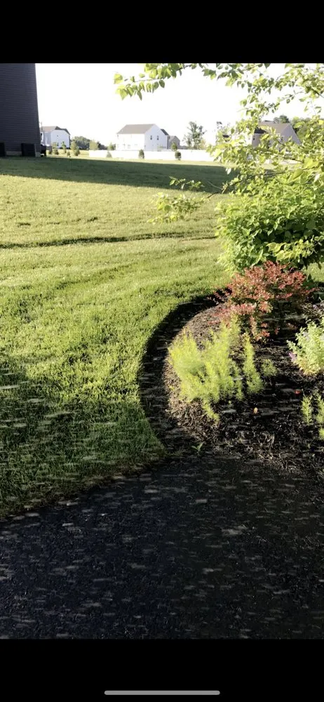 Trusted residential landscaping in Eddington, PA - V & R Construction, Landscaping & Cleaning Services