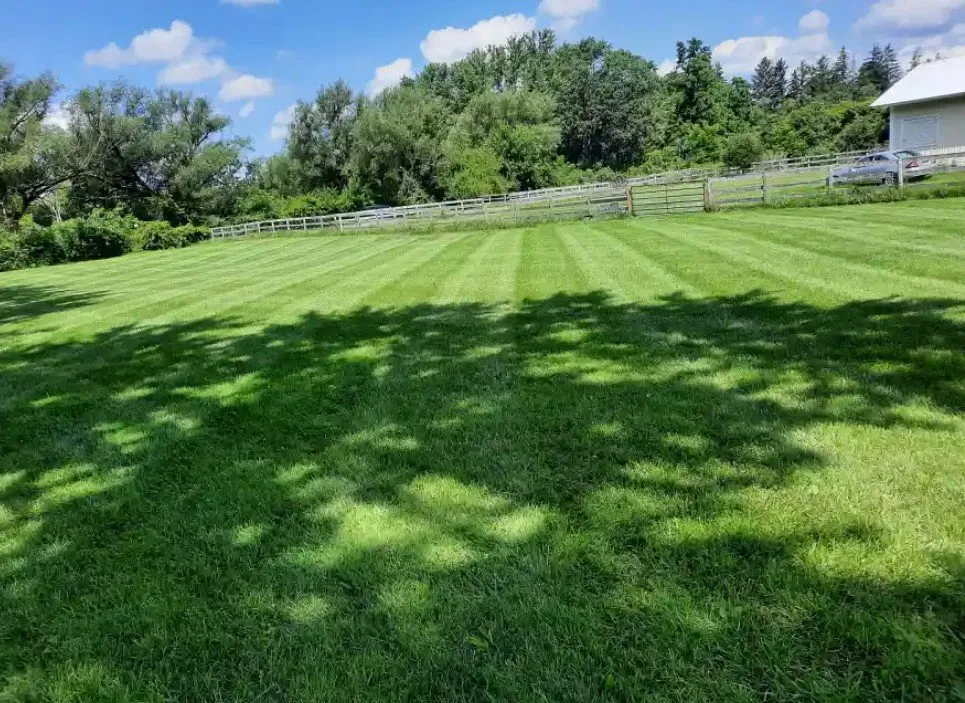 Reliable landscaping services for beautiful yards in Carpentersville, IL by V & S Landscaping