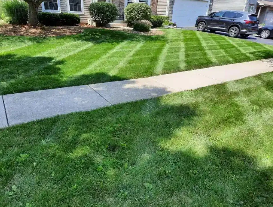 Top-rated outdoor landscaping in Carpentersville, IL by V & S Landscaping