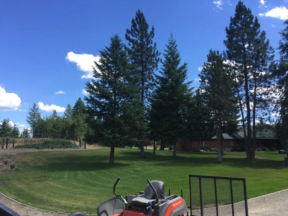 Affordable lawn mowing service in Priest River, ID by V & V Yard Care Services