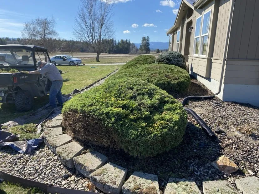 Local lawn mowing service in Priest River, ID - V & V Yard Care Services