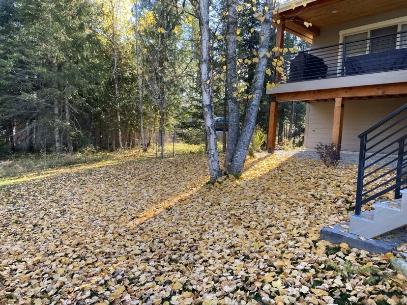 Local lawn mowing service in Priest River, ID by V & V Yard Care Services