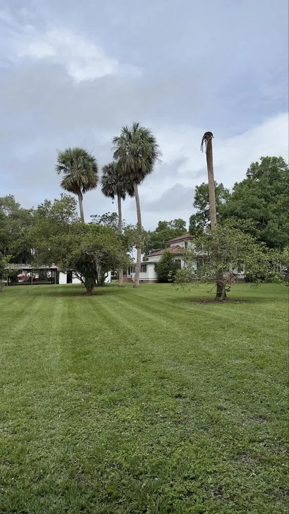 Affordable residential landscaping for homes in West Palm Beach, FL by V & Z Lawn Care
