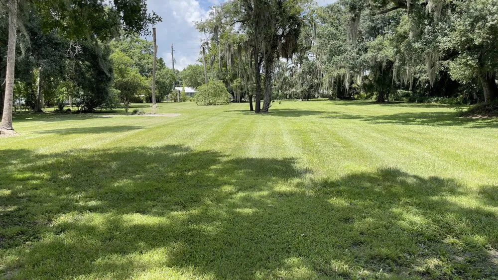 Custom lawn care service experts serving West Palm Beach, FL - V & Z Lawn Care