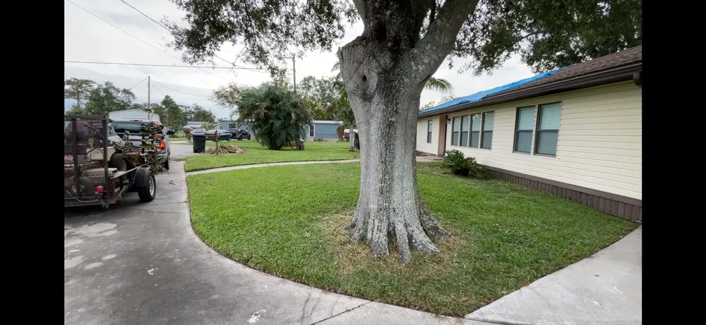 Local landscaping services experts serving West Palm Beach, FL - V & Z Lawn Care