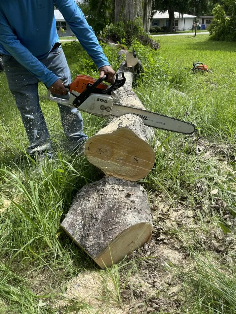 Reliable lawn mowing service experts serving West Palm Beach, FL - V & Z Lawn Care