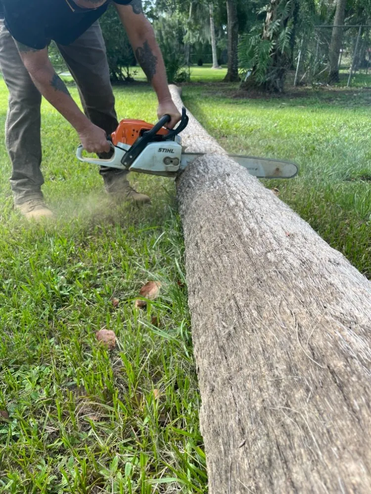 Local yard cleanup service in West Palm Beach, FL - V & Z Lawn Care