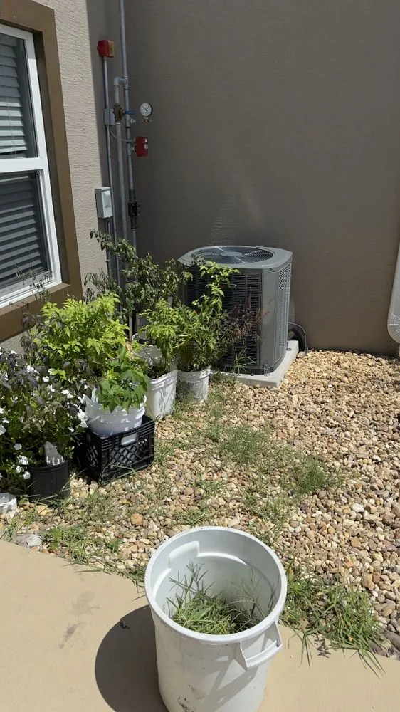 Top-rated lawn mowing service in West Palm Beach, FL by V & Z Lawn Care