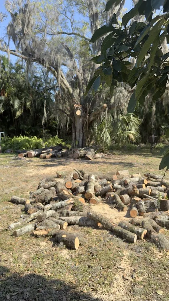 Top-rated landscape installation in West Palm Beach, FL by V & Z Lawn Care