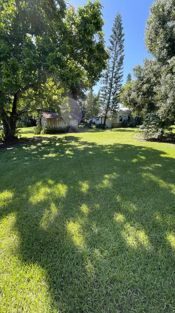 Custom lawn mowing service with custom design in West Palm Beach, FL by V & Z Lawn Care