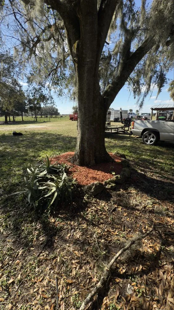 Top-rated landscape design near you across West Palm Beach, FL - V & Z Lawn Care