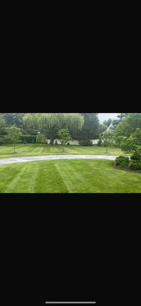 Affordable yard maintenance in Brentwood, NY by V And G Landscaping
