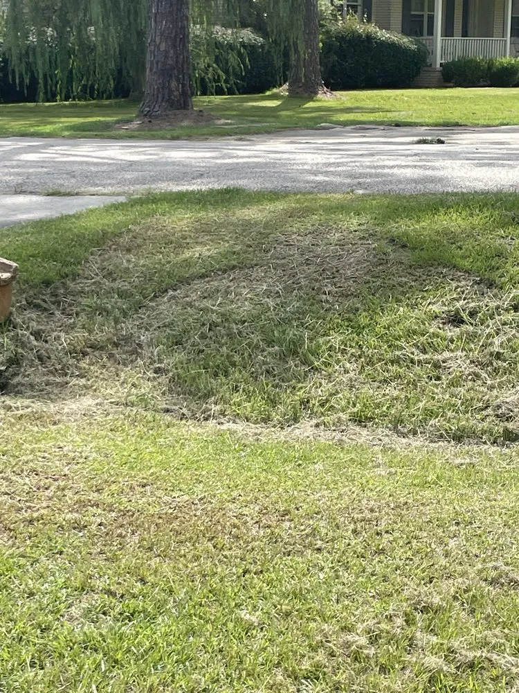 Reliable lawn care service in Dearing, GA by V Brothers Landscape & Gutters