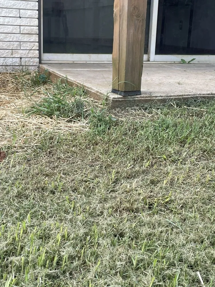 Custom landscape installation in Dearing, GA - V Brothers Landscape & Gutters