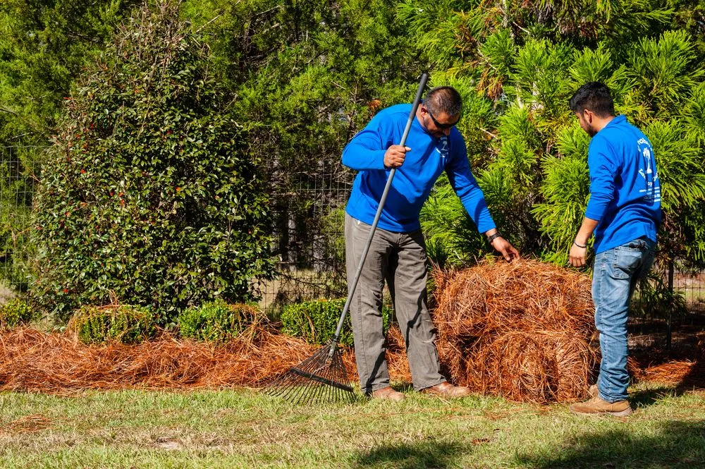 Trusted landscape installation in Dearing, GA by V Brothers Landscape & Gutters
