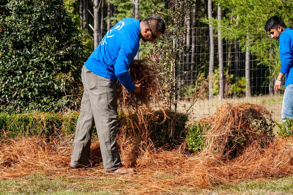 Affordable yard maintenance experts serving Dearing, GA - V Brothers Landscape & Gutters