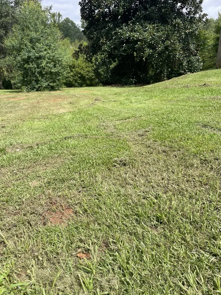 Trusted yard maintenance in Dearing, GA - V Brothers Landscape & Gutters