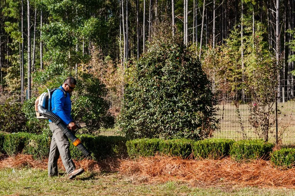 Professional landscape installation for residential properties in Dearing, GA by V Brothers Landscape & Gutters