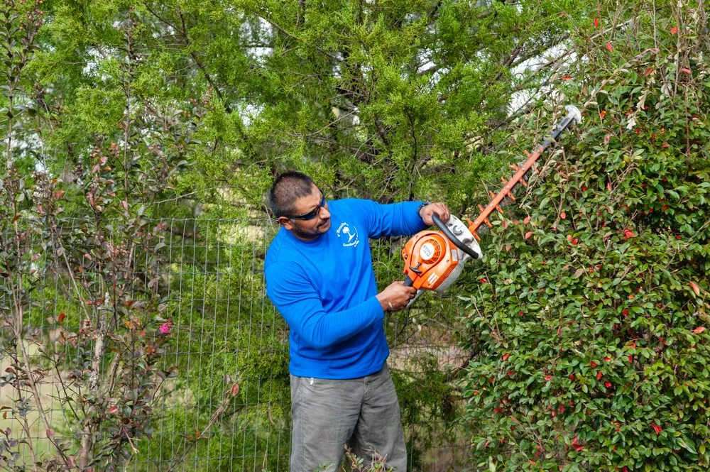 Top-rated residential landscaping in Dearing, GA - V Brothers Landscape & Gutters