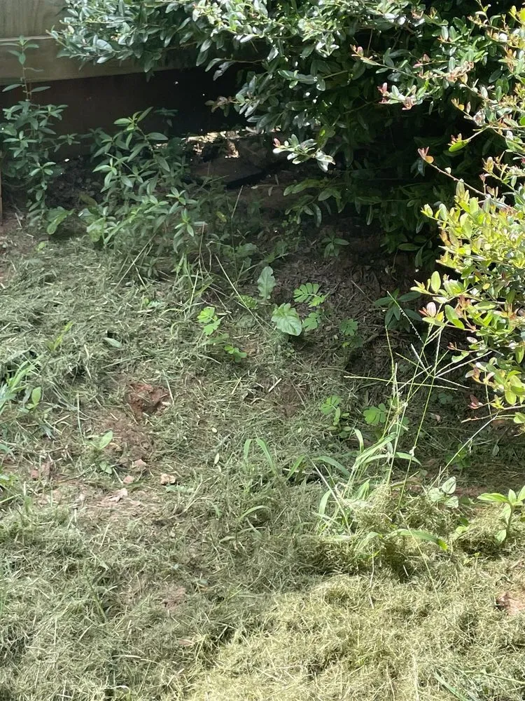 Local garden landscaping in Dearing, GA by V Brothers Landscape & Gutters