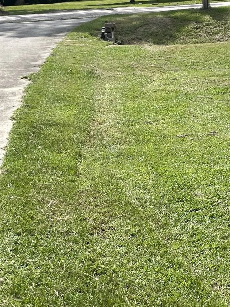 Affordable landscape design for residential properties across Dearing, GA - V Brothers Landscape & Gutters