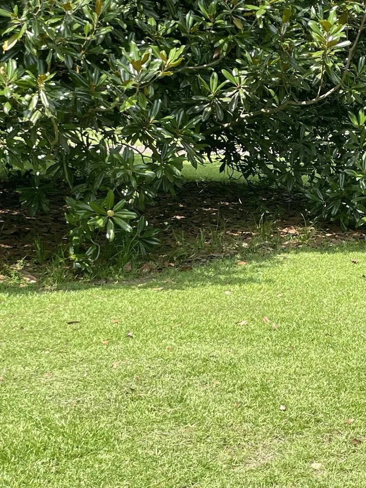 Reliable garden landscaping near you across Dearing, GA - V Brothers Landscape & Gutters