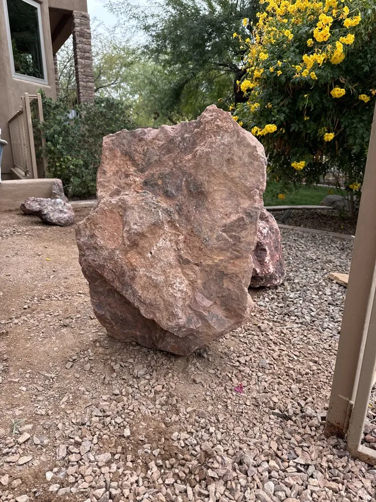 Professional lawn care service in Mesa, AZ by V Cacti