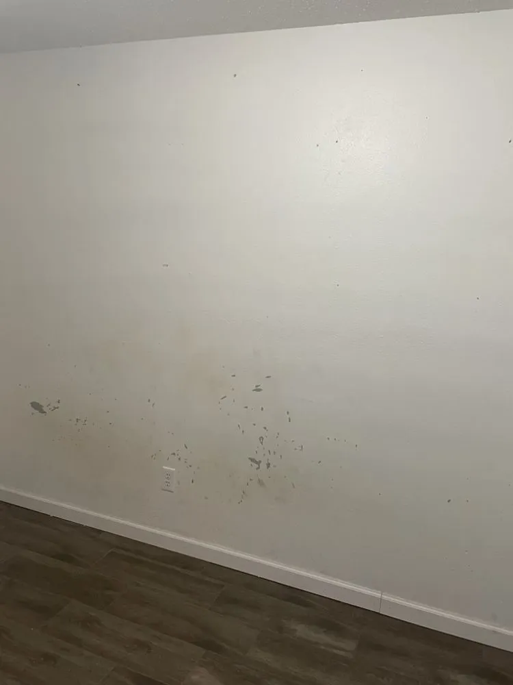 Trusted lawn care service in Tulsa, OK - V Construction