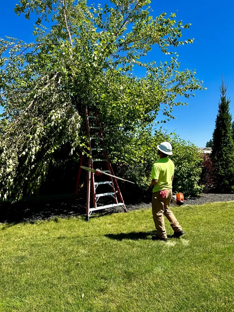 Trusted yard cleanup service in Post Falls, ID by V Enterprises