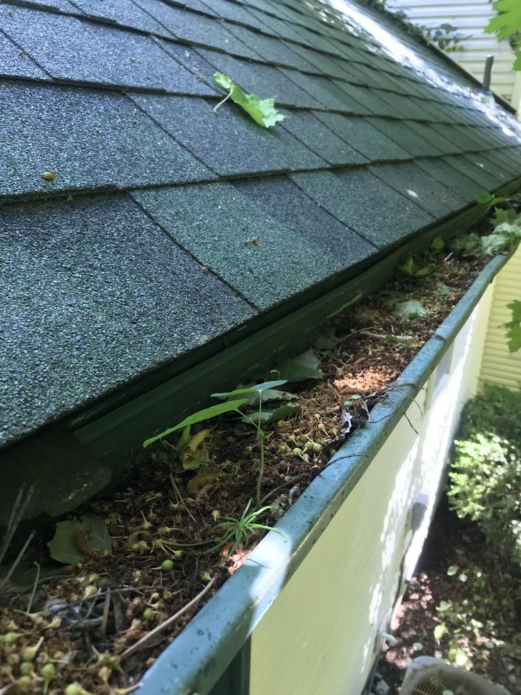 Custom yard cleanup service experts serving Post Falls, ID - V Enterprises