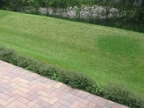 Custom garden landscaping experts serving Pembroke Pines, FL - V-Green Landscaping