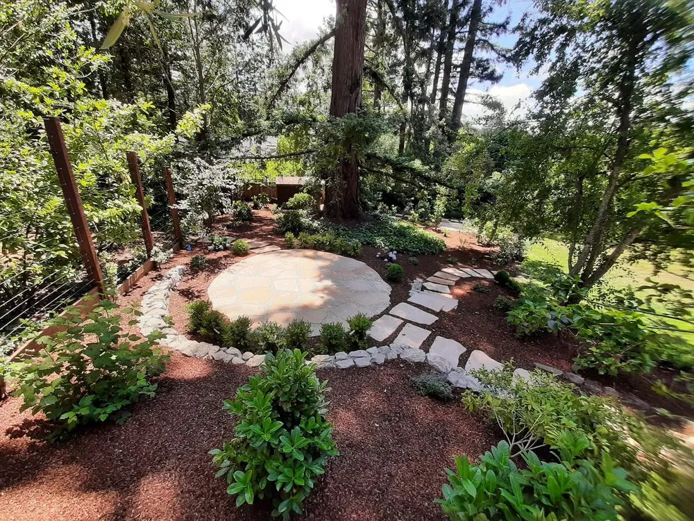 Reliable landscape design in Redwood City, CA by V Land-Tech Landscaping