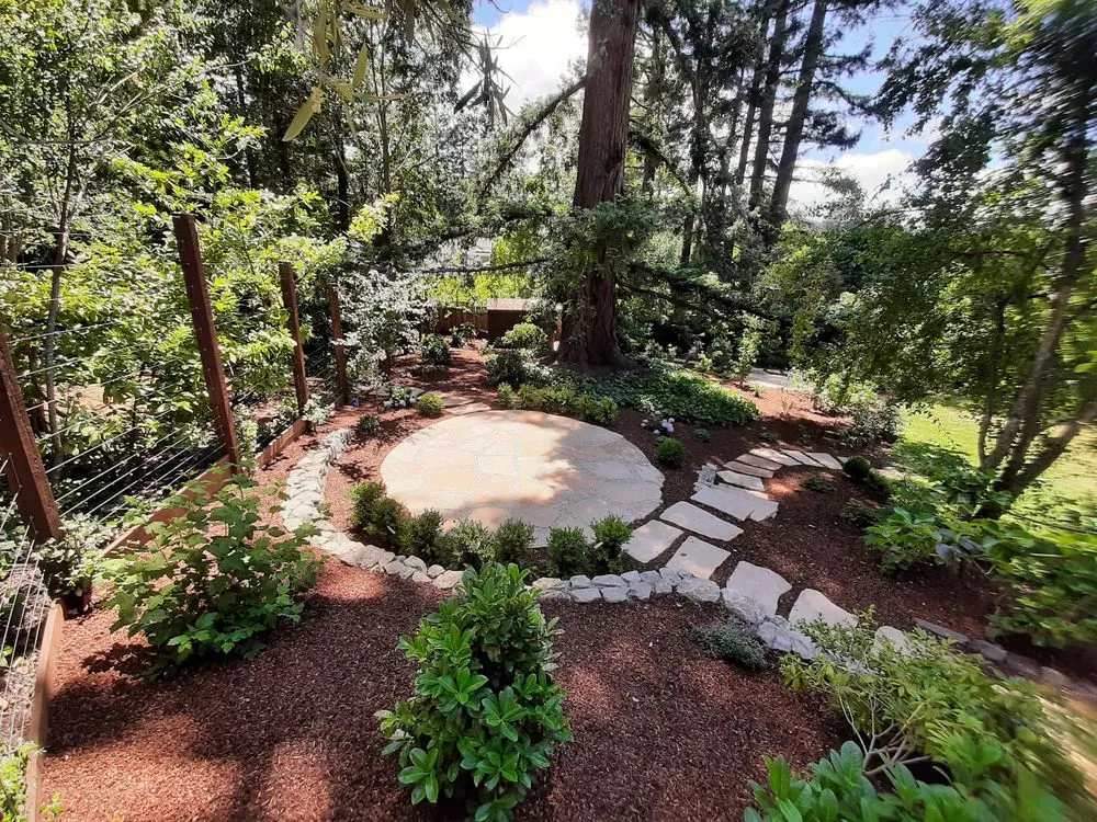Custom yard cleanup service in Redwood City, CA by V Land-Tech Landscaping