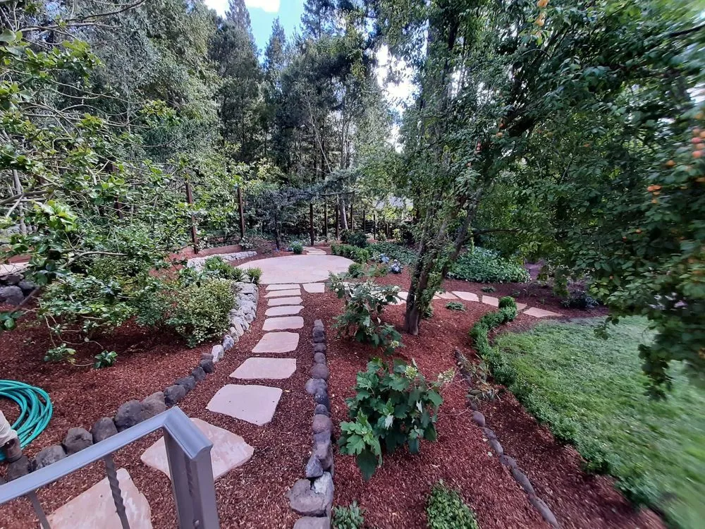 Local yard maintenance for year-round maintenance in Redwood City, CA by V Land-Tech Landscaping