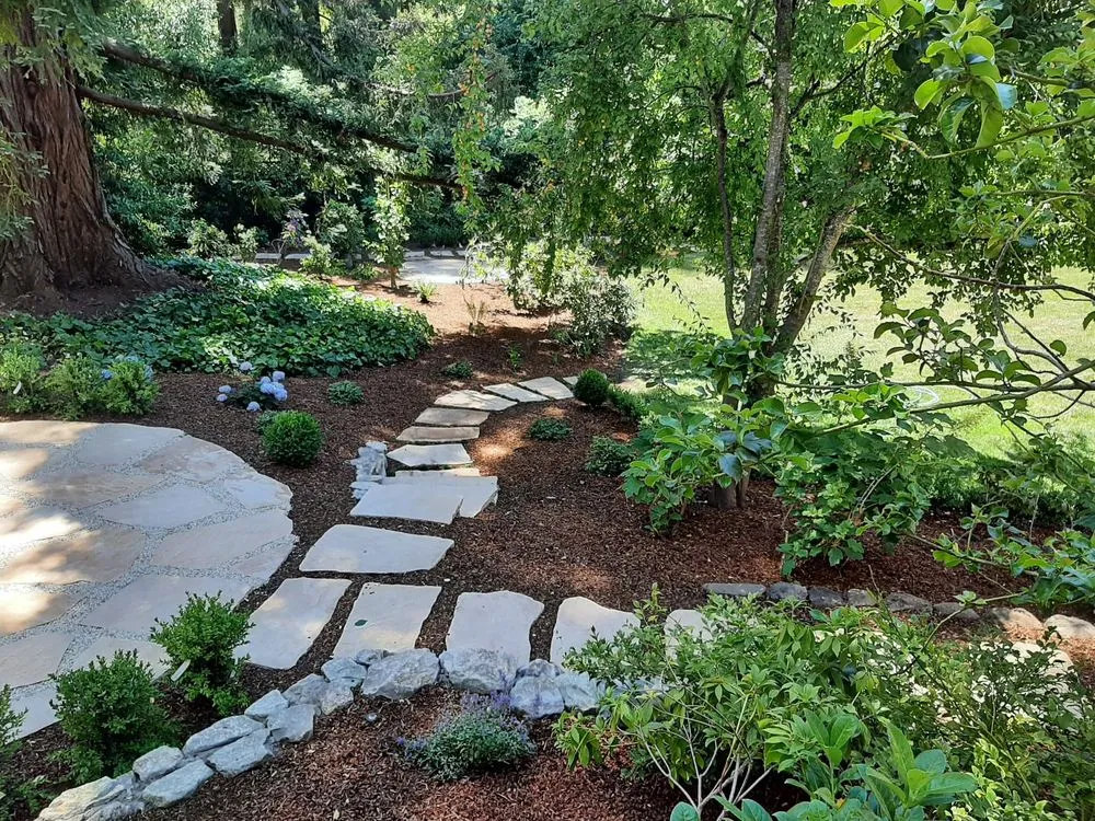Top-rated yard maintenance experts serving Redwood City, CA - V Land-Tech Landscaping