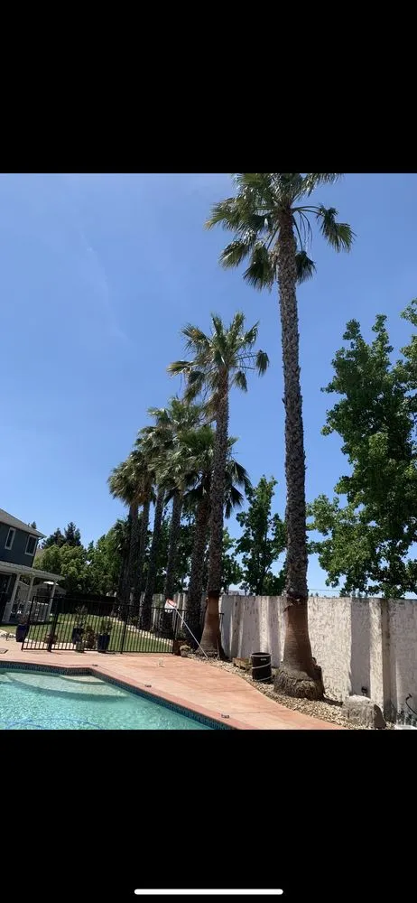 Top-rated outdoor landscaping for residential properties across Placentia, CA - V landscape