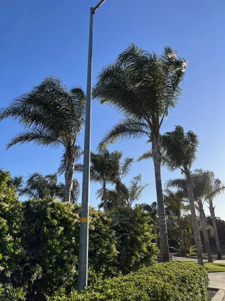 Custom landscape installation for residential properties in Placentia, CA by V landscape